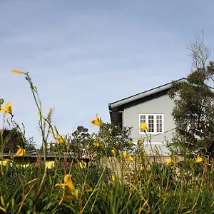 Kwatera prywatna Pedro View, Nuwara Eliya